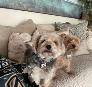 Marlene's pets